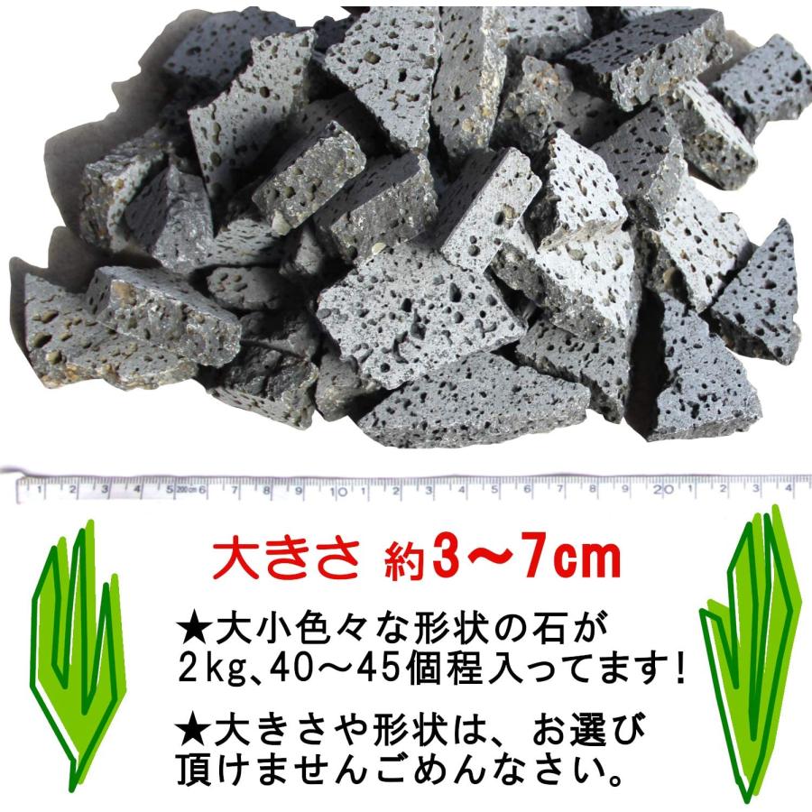 溶岩石 大量セット水槽用 水槽用天然石 2kg 砕石 溶岩石プレート 溶岩石 レイアウト ボルケーノ