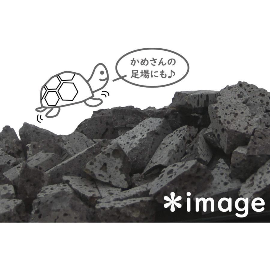 自然の岩石セット 2個 Amazon.co.jp: NATIONAL GEOGRAPHIC Rocks & Fossils Kit – 200Piece
