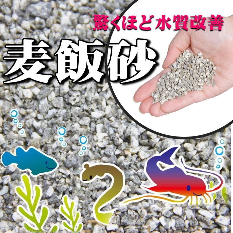アクアリウム 水槽用底砂 麦飯砂 洗って入れるだけでぴったり 30cm水槽で3センチ 45cm水槽で2センチにぴったり敷ける お魚の色を鮮やかに演出する天然カラー Bakusuna Suisou 石材のことならstクラフト 通販 Yahoo ショッピング