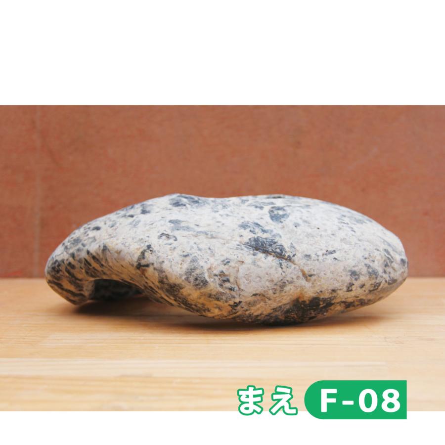 魚の家 天然石 くり抜き おさかなハウス 水槽 かくれが 自然石で