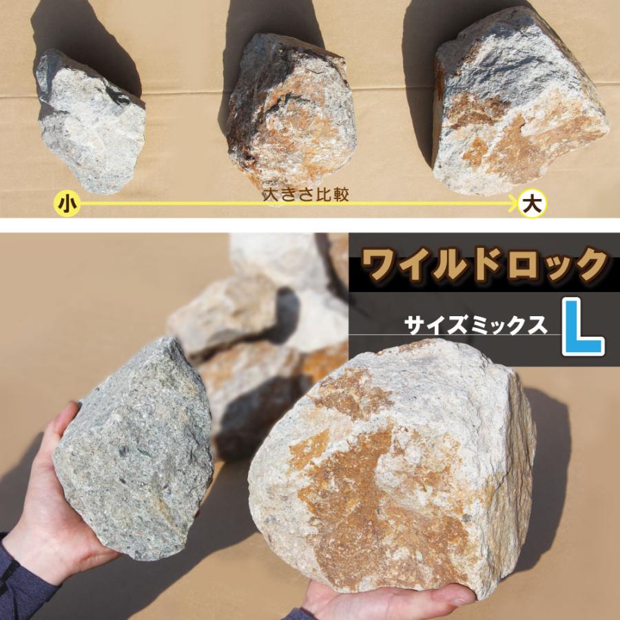 庭石 ロックガーデン 石 割栗石 ワイルドロック L 220kg (22kgx10箱