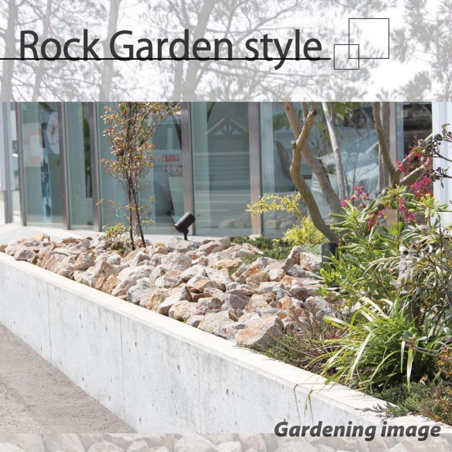 ロックガーデンセット2庭石石 石材庭坪庭ガーデニング