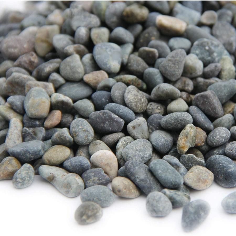 67 Off 水槽の砂利 天然石 観賞魚用 インテリア 美観 水景 水草の育成 生態系を活かす 大磯砂利 大磯 2分 5 7mm kg Shipsctc Org
