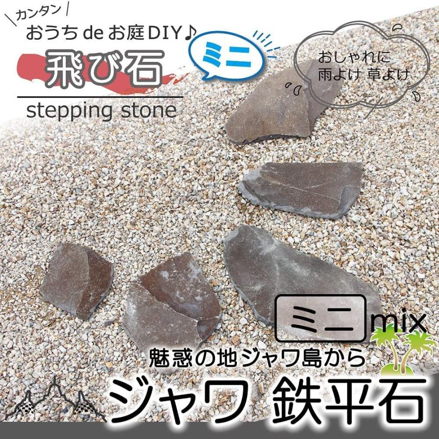 ステップストーン 飛び石 ジャワ鉄平石 ミニ 5枚入 ブラウン 茶色 庭