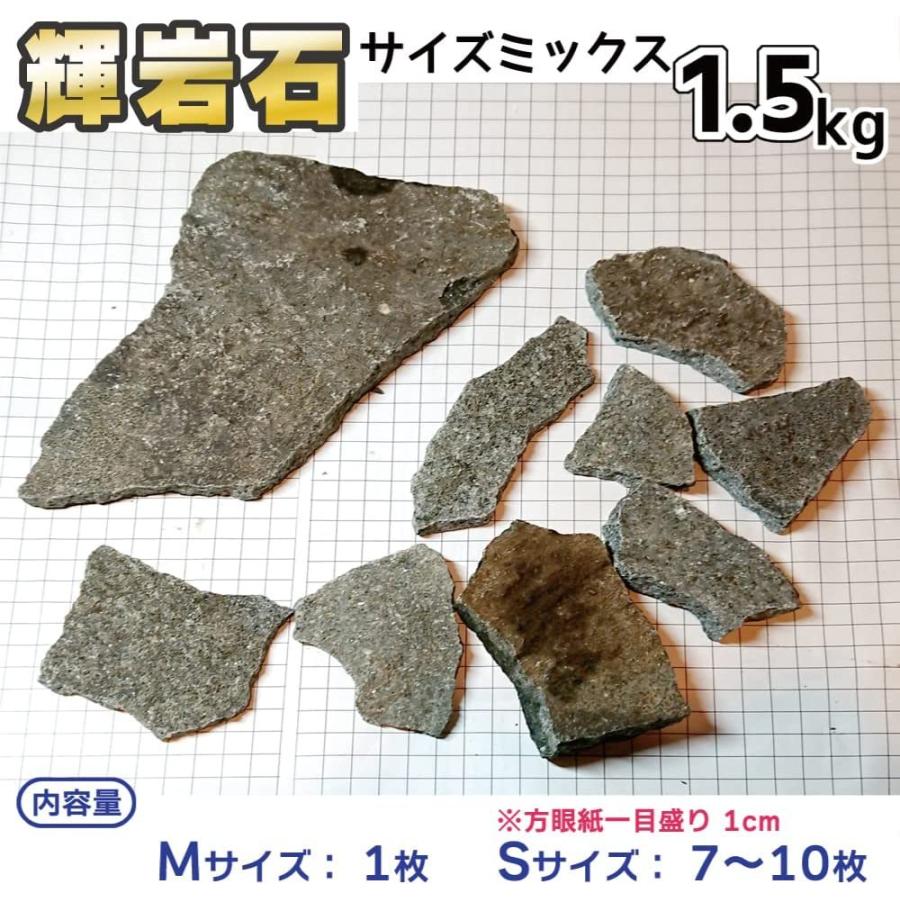 保証付き 水槽の石 1.5kgセット アクアリウム ロック レイアウト