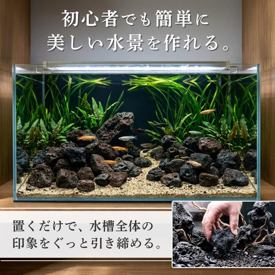 置くだけで水槽完成【溶岩石40-80mm 黒 4.5kg アクアリウムレイアウト