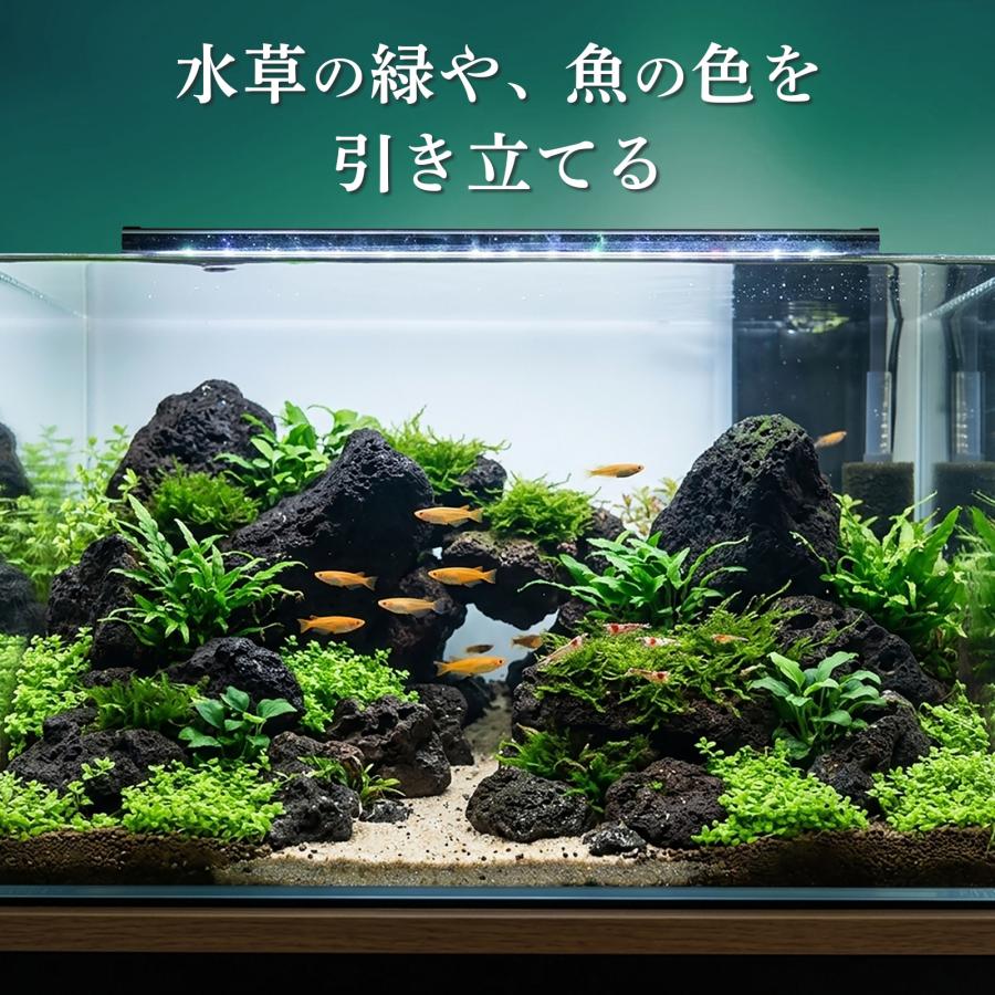 黒い溶岩石 水槽用石 大型 置くだけで水槽完成【溶岩石40-80mm 黒 4.5kg アクアリウムレイアウト