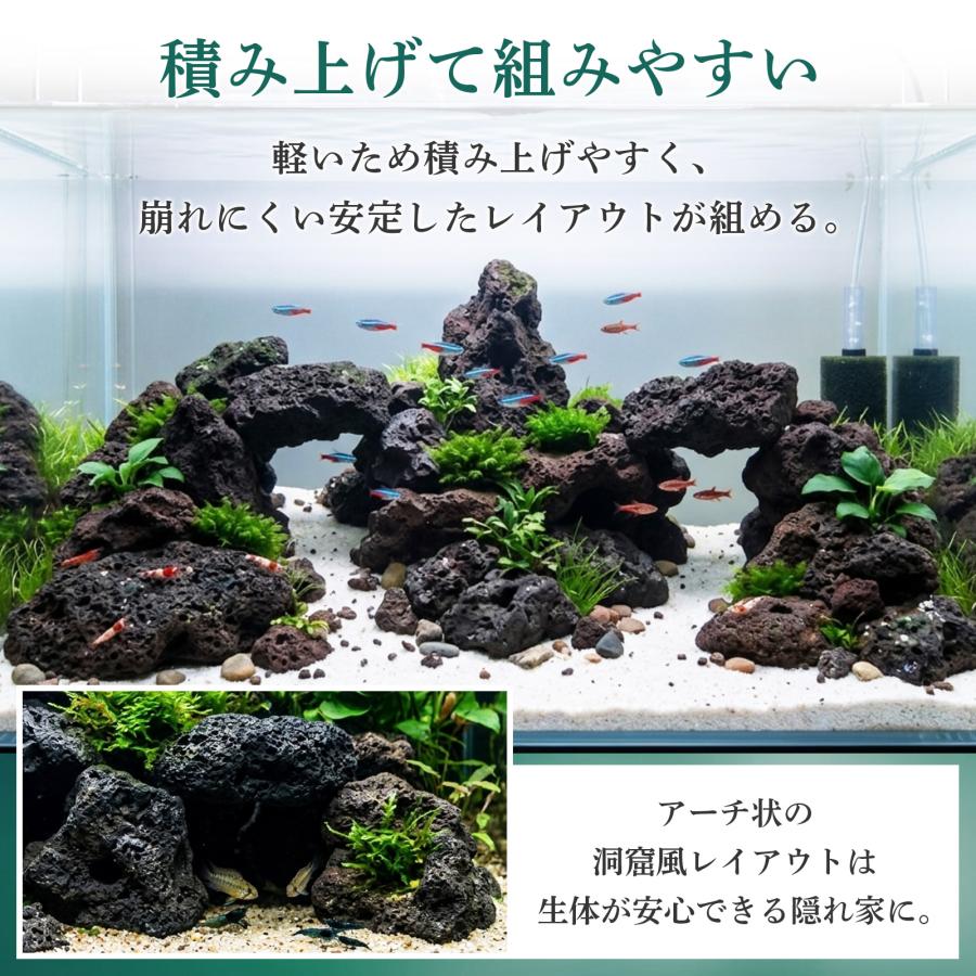 置くだけで水槽完成【溶岩石40-80mm 黒 4.5kg アクアリウムレイアウト