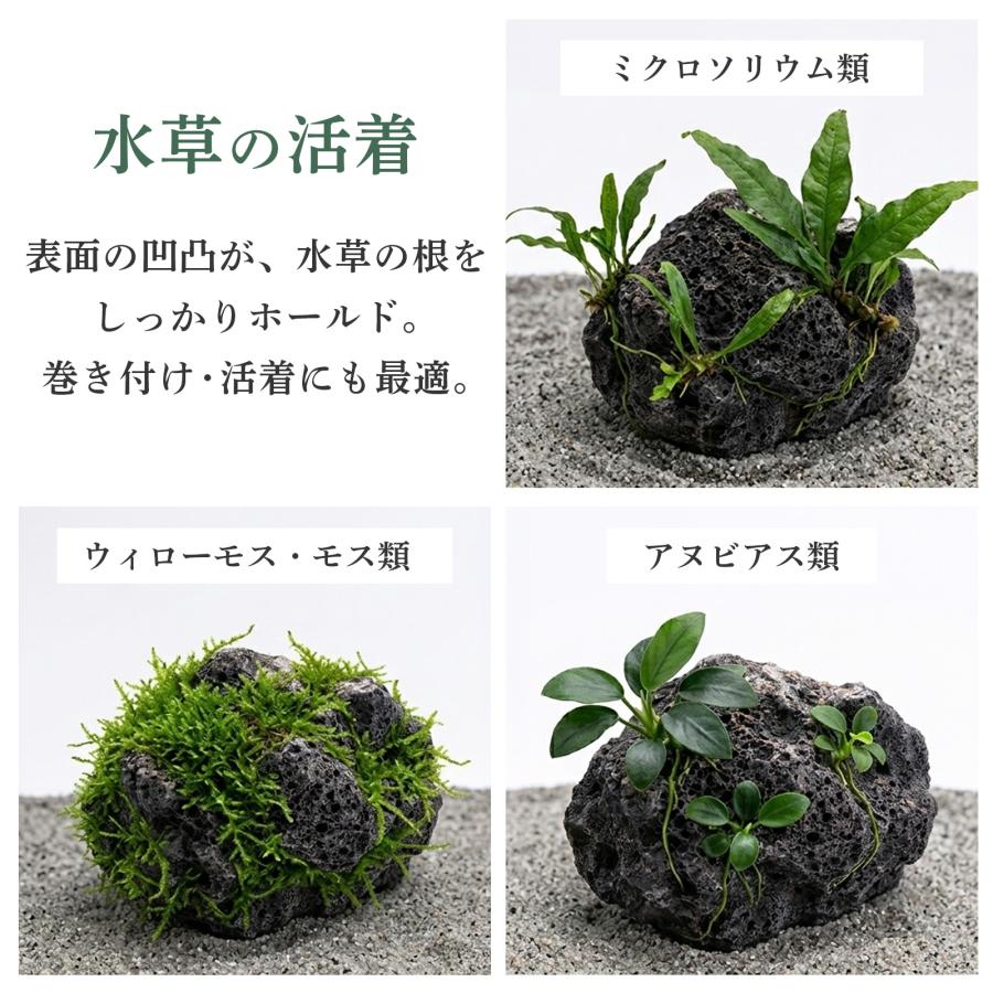 置くだけで水槽完成【溶岩石40-80mm 黒 4.5kg アクアリウムレイアウト