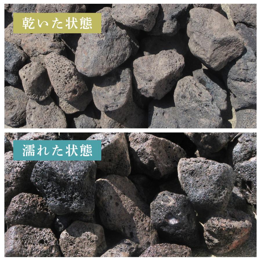 置くだけで水槽完成【溶岩石40-80mm 黒 4.5kg アクアリウムレイアウト