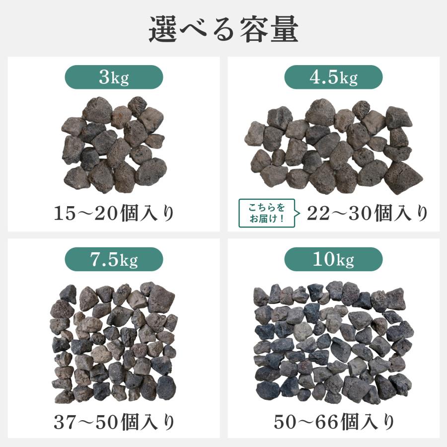 置くだけで水槽完成【溶岩石40-80mm 黒 4.5kg アクアリウムレイアウト