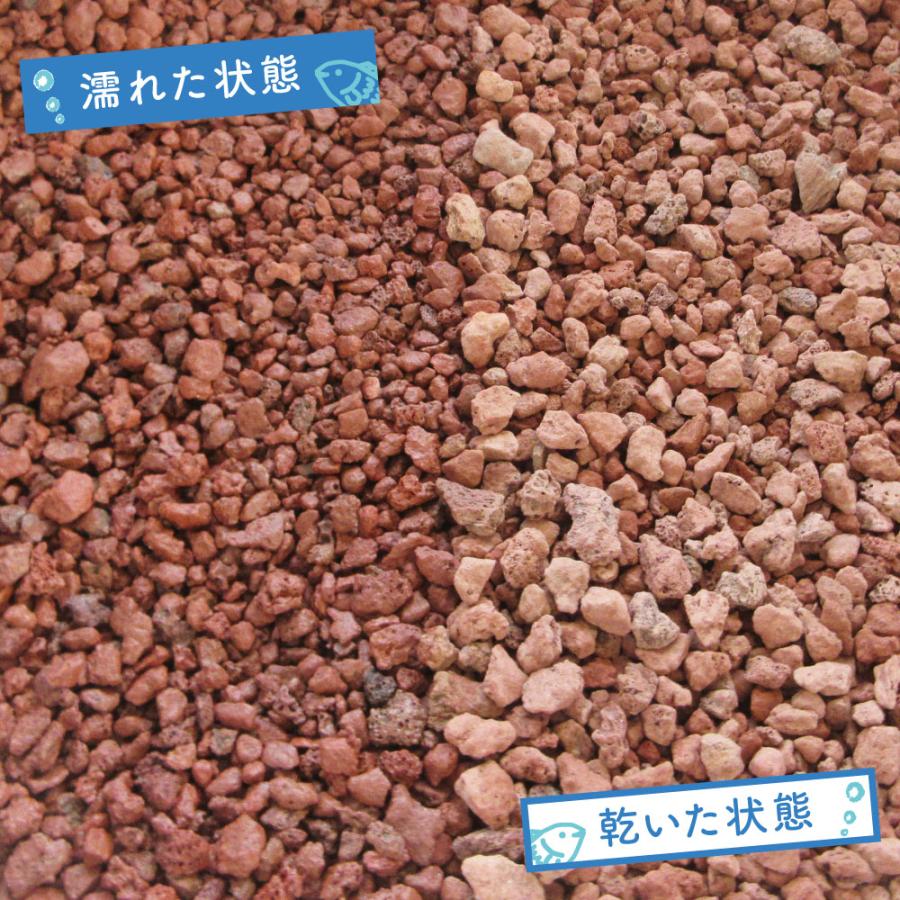溶岩石砂利 赤 水槽用 10-20mm 7.5kg｜大型水槽・睡蓮鉢に最適 赤色が