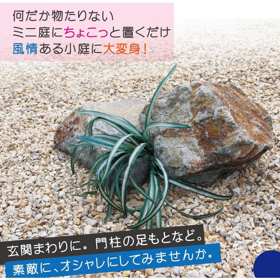 庭石 自然石 国産 天然石 みかも石2個入り B0CLY58ZYD : 石材のこと 