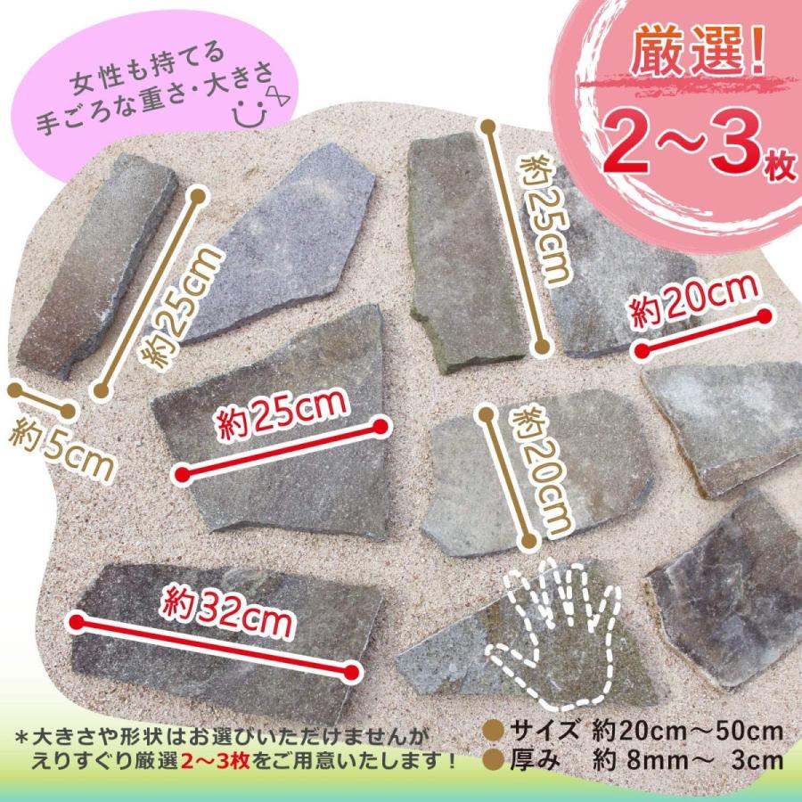 ガーデン 自然石 日本の銘石「諏訪鉄平石」から厳選 2〜3枚