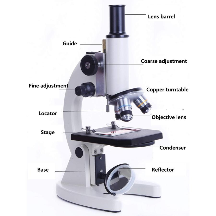 顕微鏡、640倍、高倍率のプロ用光学顕微鏡、学生と子供向けの科学実験、教育用顕微鏡-10000倍の倍率｜stsyoten-store｜04