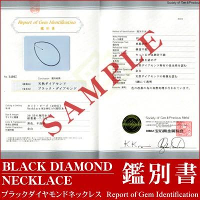 (鑑別書作成) ブラック ダイヤモンド ネックレス 専用 鑑別書 ブラックダイヤ ネックレス ブラック ネックレス 男性 プレゼント 男性 ネックレス ギャランティ