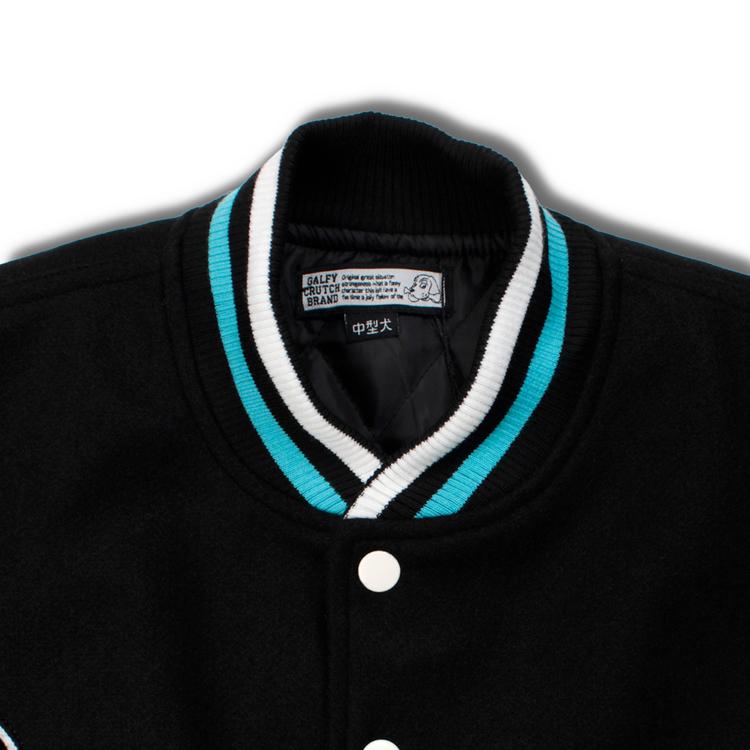 GALFY（ガルフィー） 復活わんわん大学 ジャケット 犬 ロゴ ワッペン