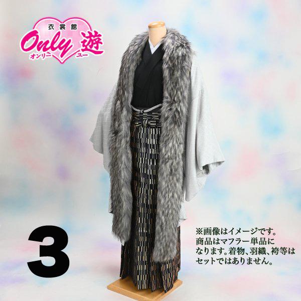 期間限定】【在庫処分品】メンズファー/メンズ/50-004RF/ロング 期間限定】【在庫処分品】メンズファー/メンズ/50-004RF/ロング