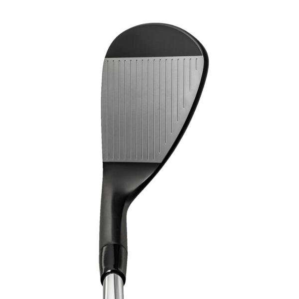 Mizuno Pro ミズノ 2025 T-1 [ブラックIP] ウェッジ(DynamicGold HT