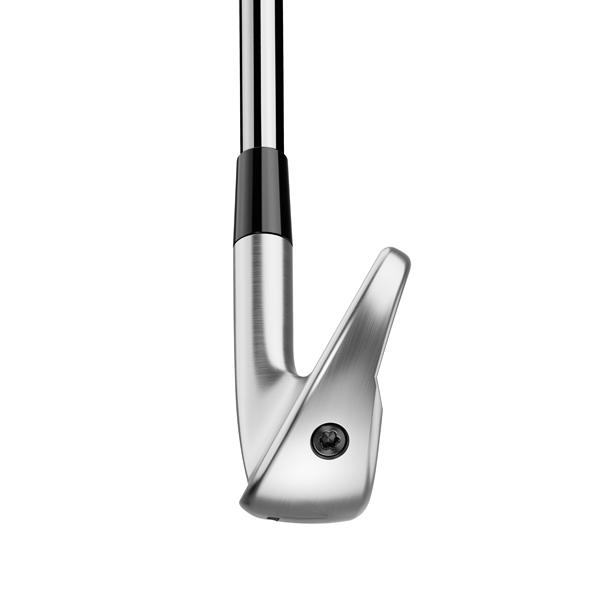 P700シリーズ テーラーメイド 2025 NEW P790 アイアン(NS PRO 850GH