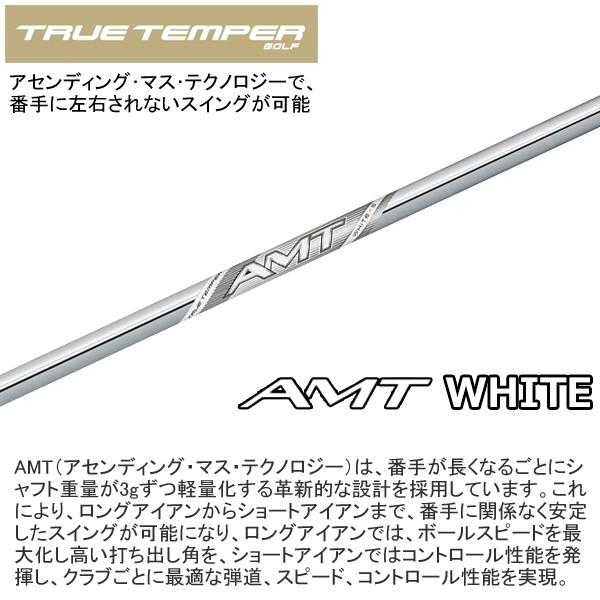 タイトリスト 2025 T100 アイアン (2025 AMT WHITE)単品（左用）の画像