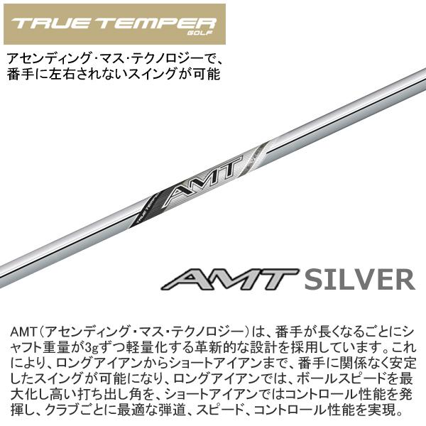 T-Series タイトリスト 2025 T150 アイアン (2025 AMT SILVER