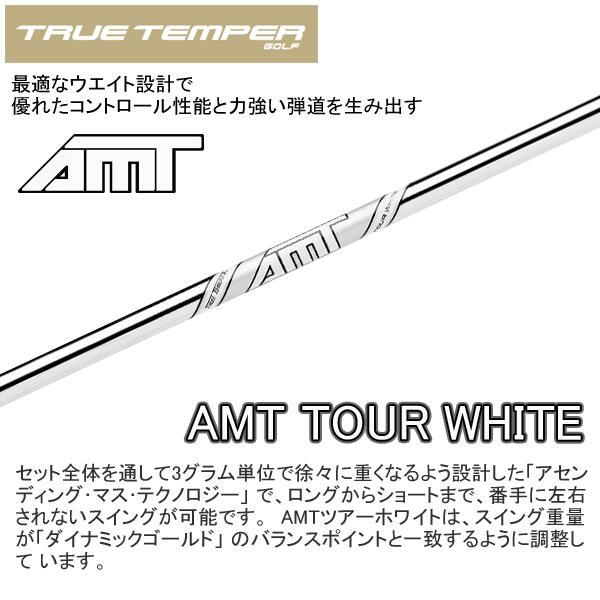 タイトリスト 2023 T100 アイアン (AMT TOUR WHITE スチール)6本セット｜studiodesign72｜05