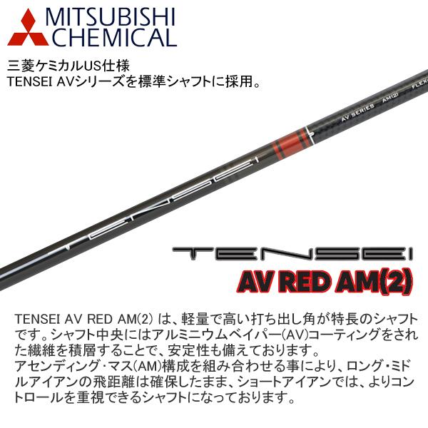 タイトリスト 2023 T200 アイアン (TENSEI AV Red/ Blue AM2 カーボン)6本セット(左用)｜studiodesign72｜05