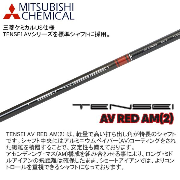 タイトリスト 2023 T350 アイアン (TENSEI AV Red/ Blue AM2 カーボン)6本セット(左用)｜studiodesign72｜05