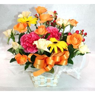 生花　ビタミンカラーのアレンジ 【地域限定送料無料】　 |  | 03