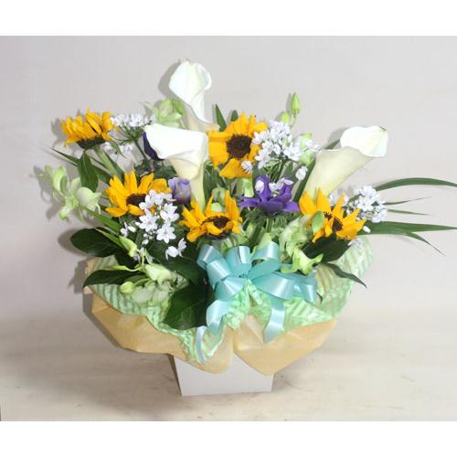 生花　たっぷりヒマワリのアレンジ【地域限定送料無料】カラー |  | 04