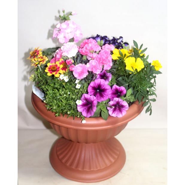 季節の寄せ植え 足付コンポート　鉢花  誕生日 お祝い 開店祝い ベランダ 玄関【限定付送料無料】 |  | 04