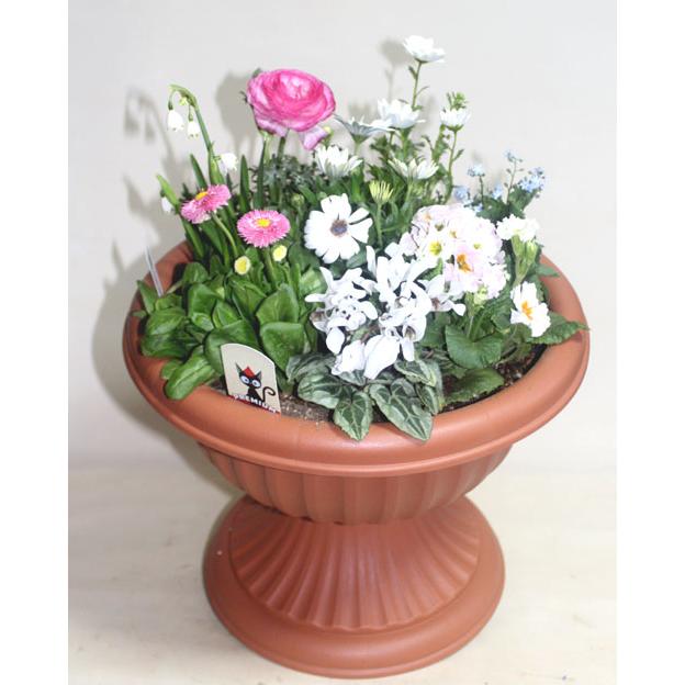 季節の寄せ植え 足付コンポート　鉢花  誕生日 お祝い 開店祝い ベランダ 玄関【限定付送料無料】 |  | 07