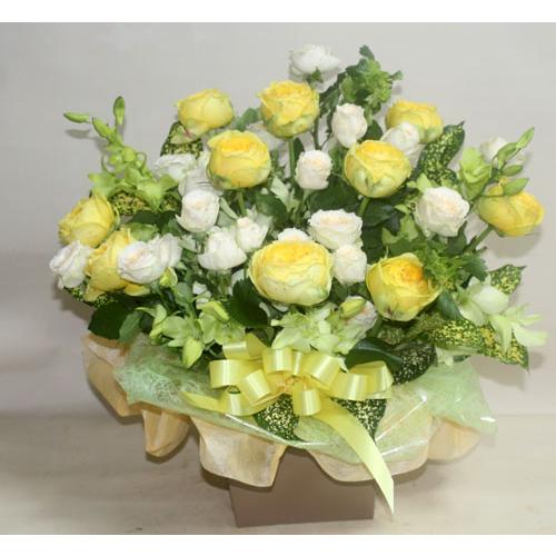 花束・アレンジ-オリジナル（おまかせ）10000【地域限定送料無料】 |  | 05