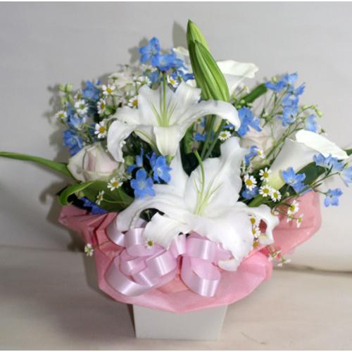 花束・アレンジ-オリジナル（おまかせ）5000 |  | 08