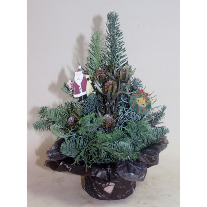 クリスマスツリーＳサイズ　クリスマストピアリー　生花　アレンジ　アレンジメント 裏白モミ オレゴン産もみのき モミノキ 樅ノ木 モミの木　ヒムロ杉 |  | 02