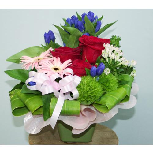 生花アレンジ　赤いバラは大人のあなたに【地域限定送料無料】 | 