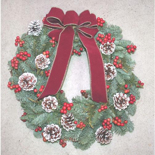 オレゴン産 もみの木　これぞクリスマスリース45　生花 リース クリスマス もみのき モミノキ 樅ノ木 モミの木 フラワー リース | 