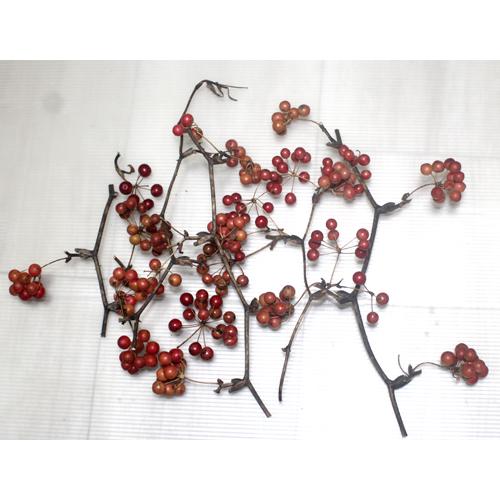 サンキライ 山帰来　ドライフラワー | 