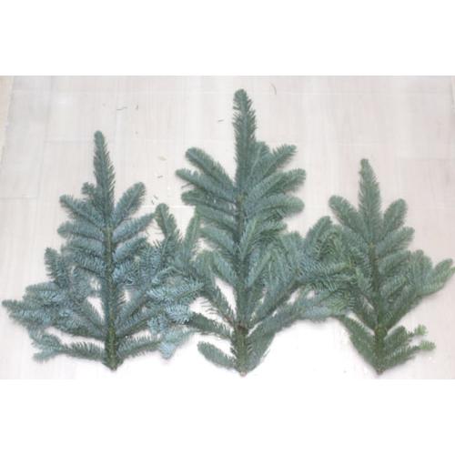 モミの木ブランチ チップ 裏白モミ オレゴン産 切花 クリスマスリース 資材 生花 |  | 03