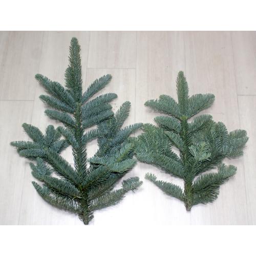 モミの木ブランチ チップ 裏白モミ オレゴン産 切花 クリスマスリース 資材 生花 |  | 02