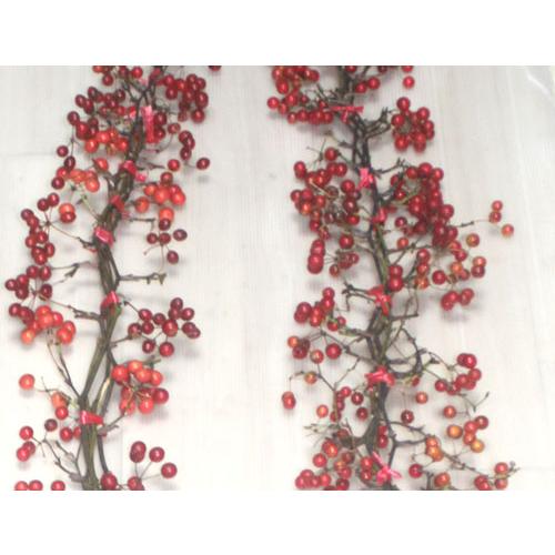 サンキライ 山帰来 切花 クリスマスリース 手作りキット 資材 生花 フラワーリ−ス　スワッグ | 