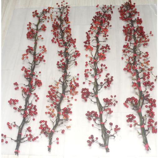 サンキライ 山帰来 切花 クリスマスリース 手作りキット 資材 生花 フラワーリ−ス　スワッグ |  | 01