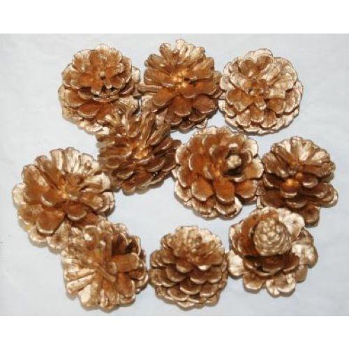 松笠　金色　ゴールド　１０ヶ入り リース クリスマス 正月 資材 松かさ　松ぼっくり 木の実 種類 壁掛け 飾り 資材 花　クリスマス オーナメント | 