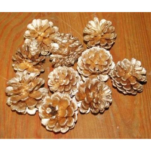 松笠　金色　ゴールド　１０ヶ入り リース クリスマス 正月 資材 松かさ　松ぼっくり 木の実 種類 壁掛け 飾り 資材 花　クリスマス オーナメント |  | 01