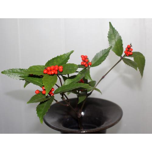 千両 生花 玄関 ドア飾り 正月 資材  和風　切り花　切花 門松 墓参り フラワーアレンジメント お正月 |  | 02