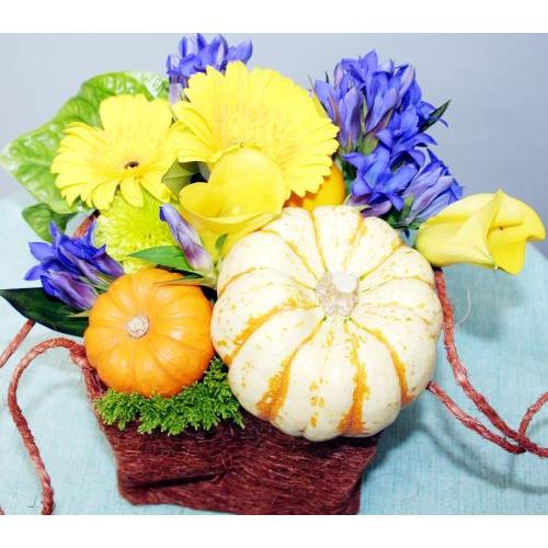 生花　アレンジ　ハロウィンに寄せて　 |  | 02