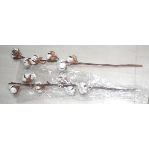 綿の木　コットンフラワー 切花 クリスマスリース スワッグ　資材　生花　ドライフラワー  フラワーデザイン |  | 02