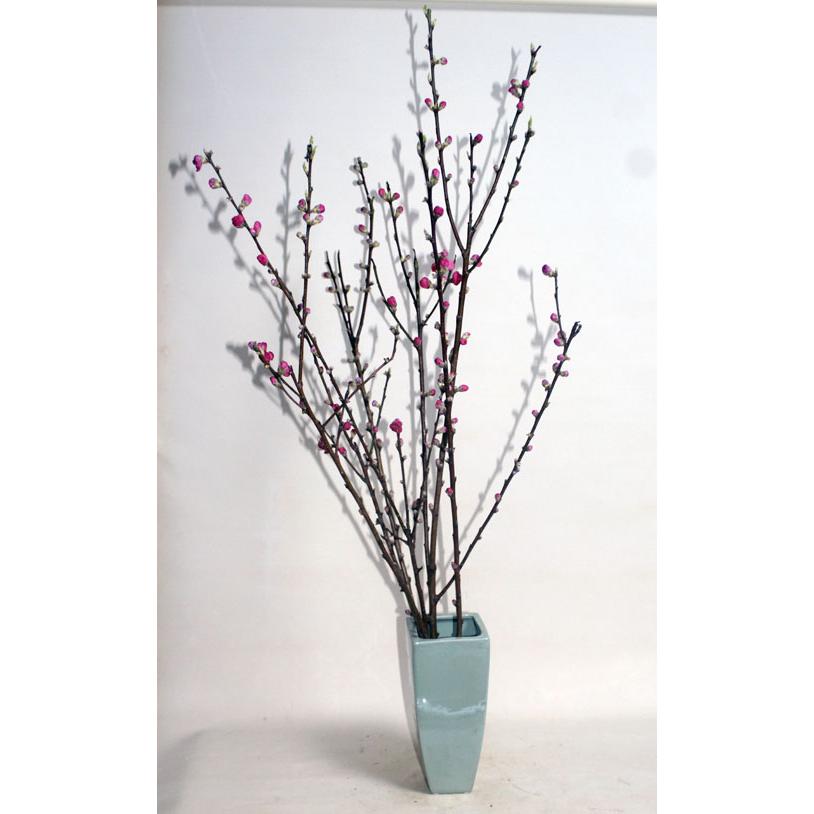 桃の花 枝もの　１把 　切花 生花 ひなまつり 雛祭 |  | 01