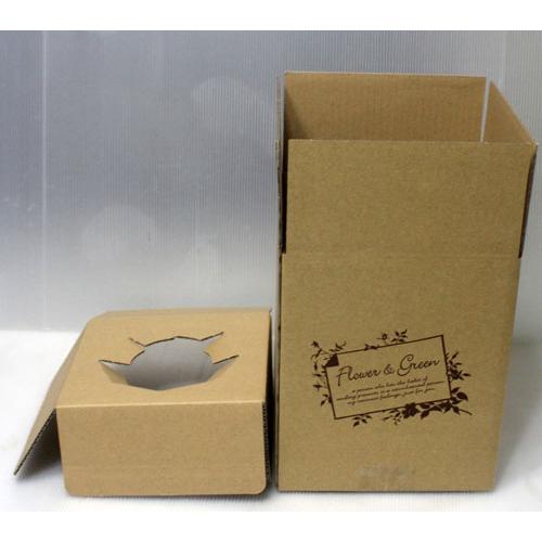 段ボール宅配ボックス６０サイズ  組み立て式 配送用 折り畳み 小物用 フラワーギフト【資材】フラワー ダンボール 梱包 | 